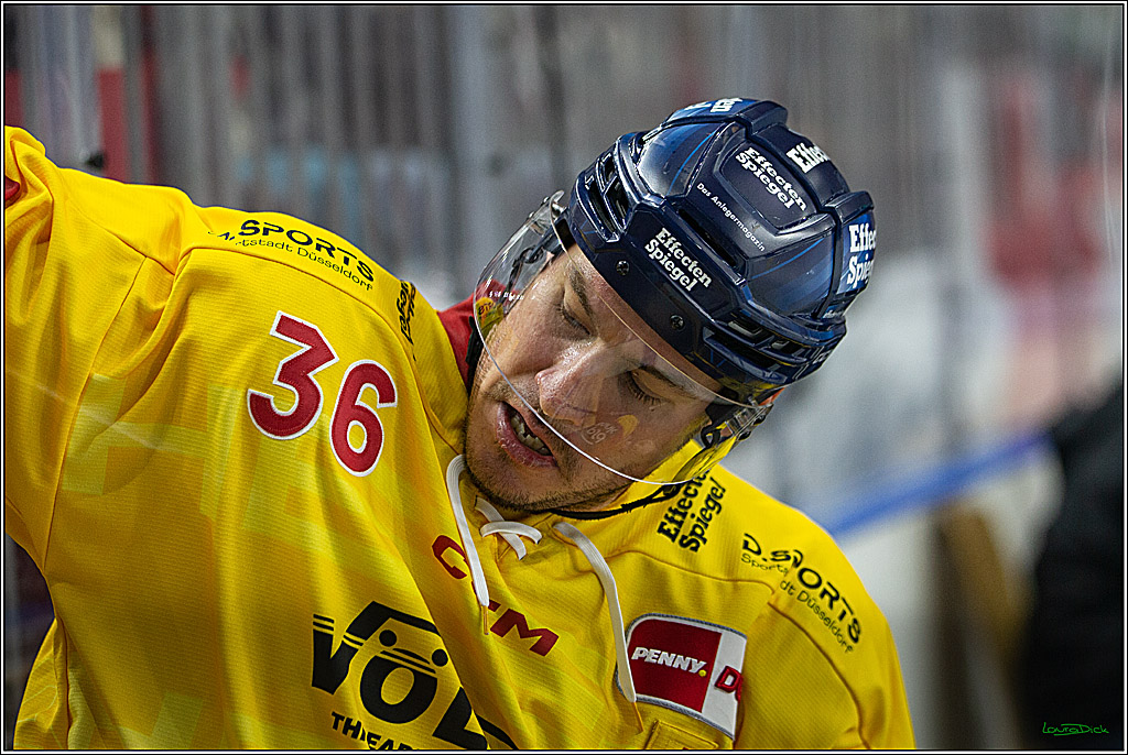 PENNY DEL; Koelner Haie- Duesseldorfer EG; Koeln, 16.12.2022